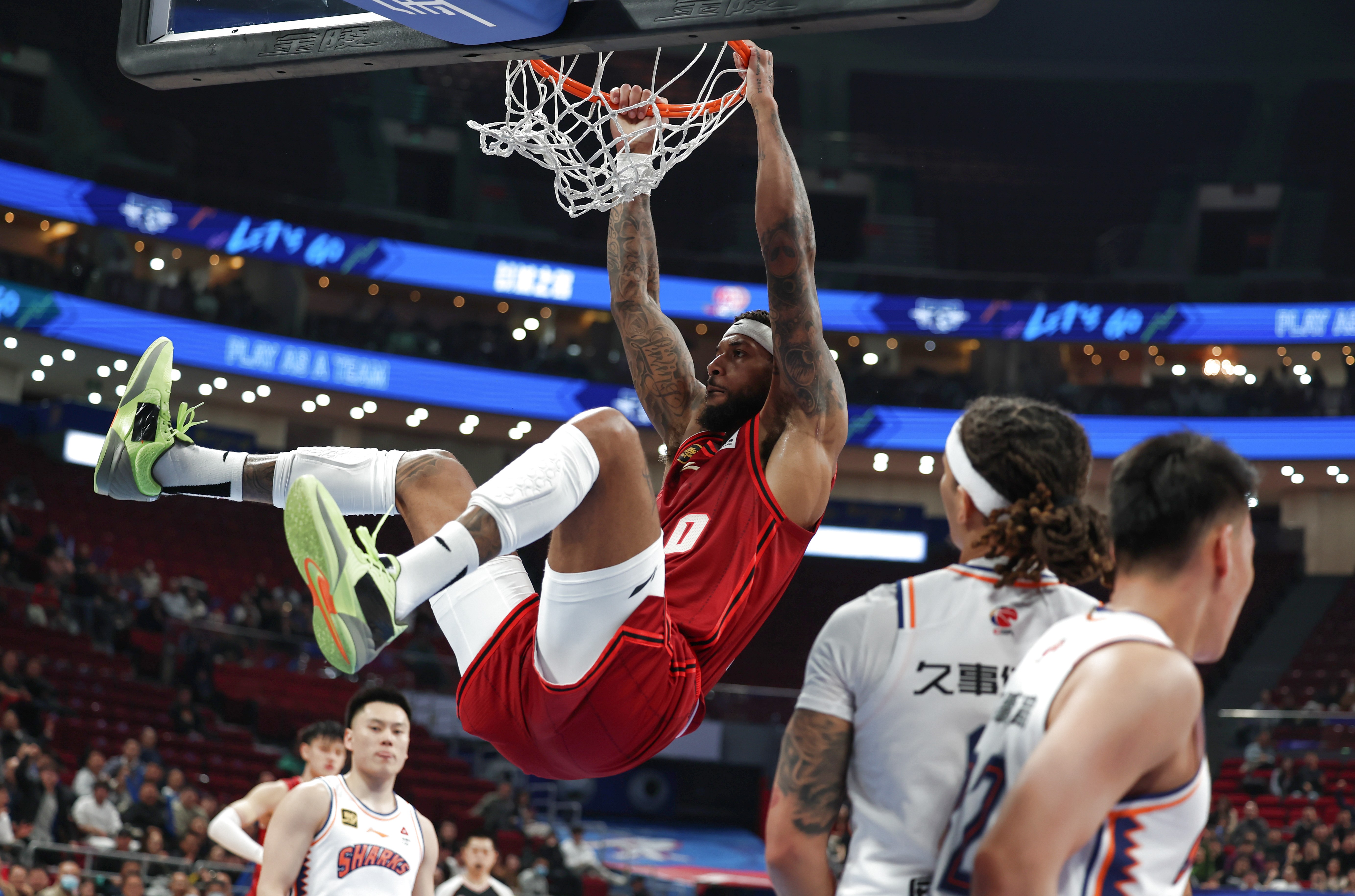 蕾切尔库克的挑战作品